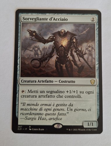 Sorvegliante acciaio 267 - d'acciaio,